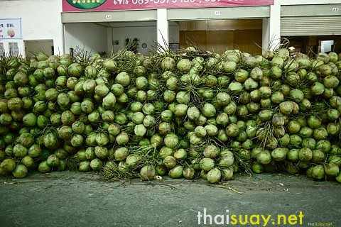 coconut1